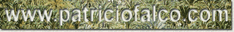 recorte